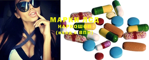 ГАЛЛЮЦИНОГЕННЫЕ ГРИБЫ Новозыбков