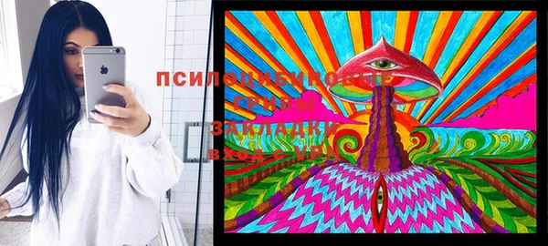 ГАЛЛЮЦИНОГЕННЫЕ ГРИБЫ Новозыбков