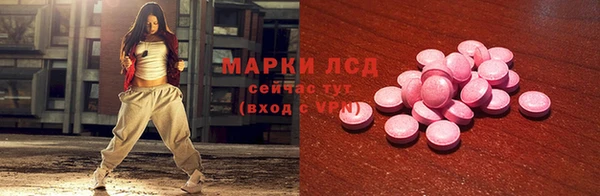 ГАЛЛЮЦИНОГЕННЫЕ ГРИБЫ Новозыбков